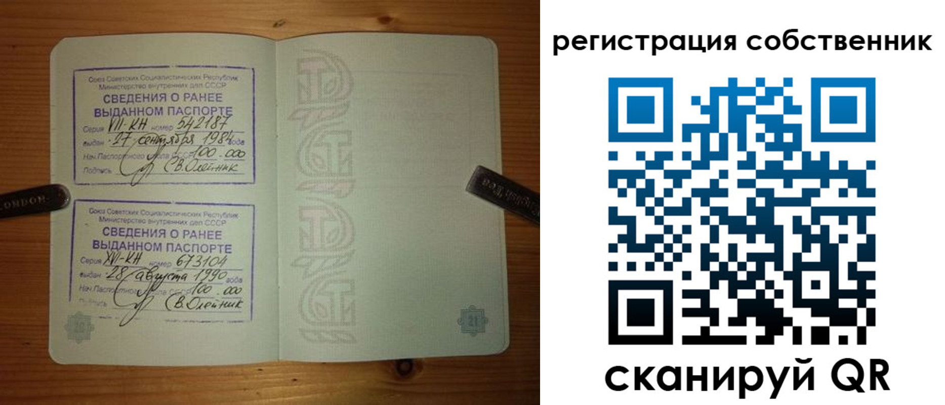 временная регистрация гарантия в Каменке